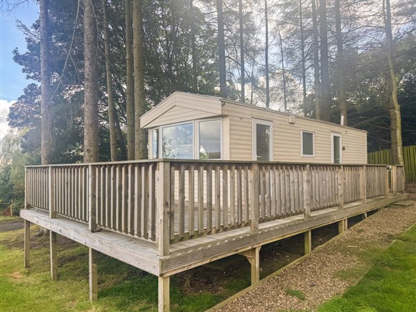 Emerald Pines, Hexham