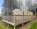 Emerald Pines in Hexham - Northumberland