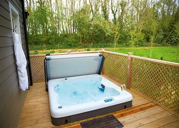 Endymion Lodge - Essex