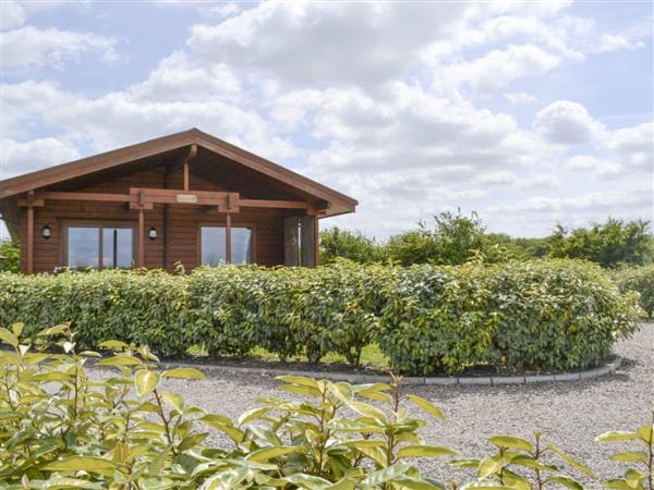 Faulkers Lakes - Bramble Lodge in Lincolnshire