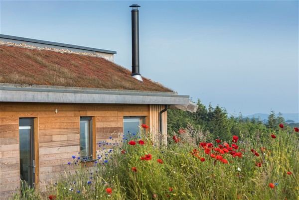 Fern, Ansty, Dorchester