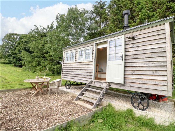 Fern Shepherds Hut, 