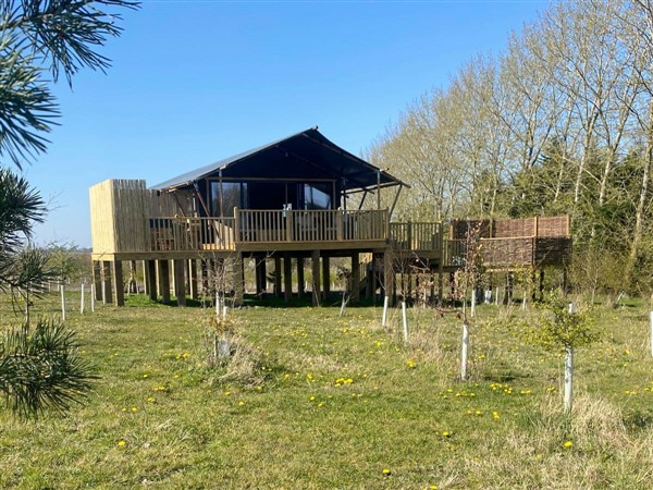 Fieldfare in Nottinghamshire