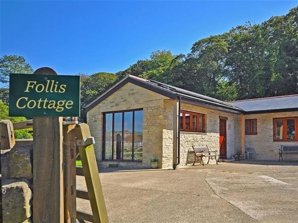 Follis Cottage in Dorset