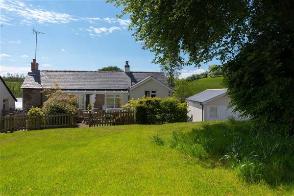 Ford Hill Cottage - Devon