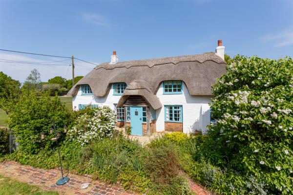 Forest Cottage in Pilley, Hampshire