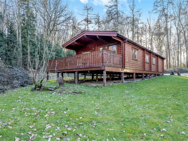 Forest Lodge in Kenwick Woods, near Louth, Lincolnshire