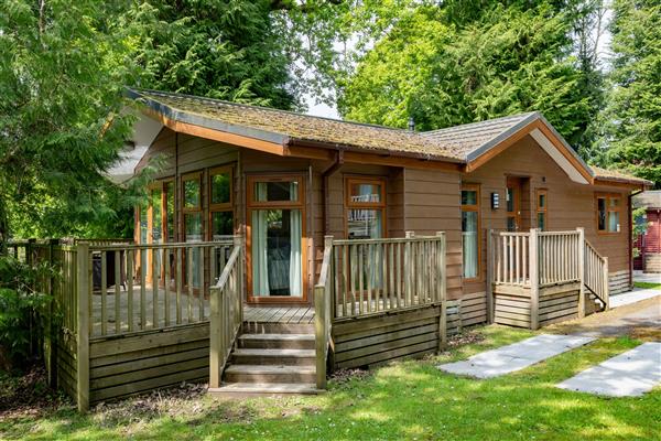 Forest Pines Lodge in Cumbria