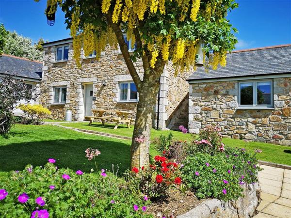 Friesian Valley Cottages - Ash in Cornwall