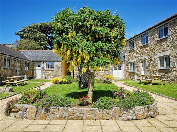 Friesian Valley Cottages - Willow in Mawla, near Porthtowan, Cornwall
