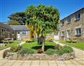 Friesian Valley Cottages - Willow in Cornwall