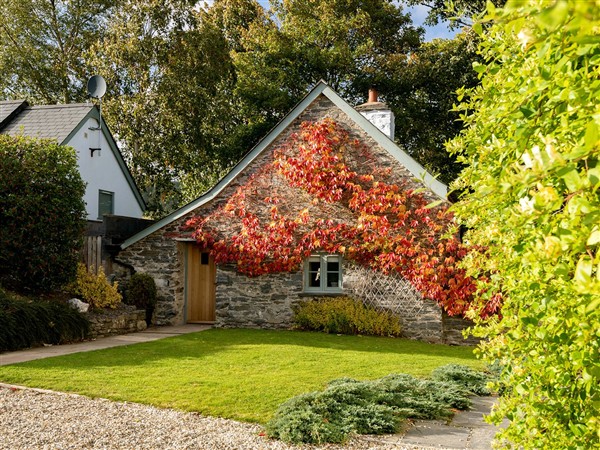 Ghillies Cottage - Denbighshire