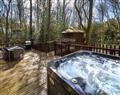 Enjoy your time in a Hot Tub at Golden Oak Treehouse at Garwnant; ; Brecon Beacons