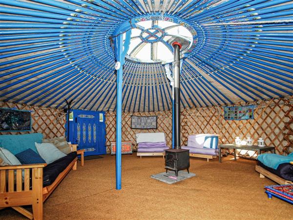 Gower Yurts - Shiva, Swansea, West Glamorgan