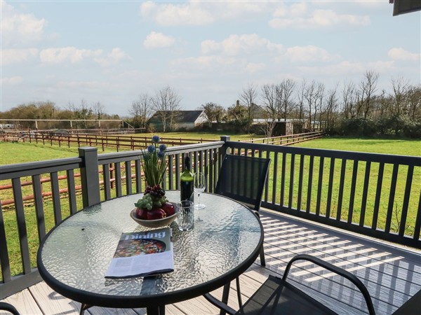 Grass Roots in Somerset