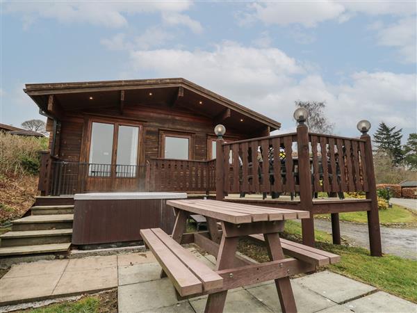 Great Owl Lodge in Powys