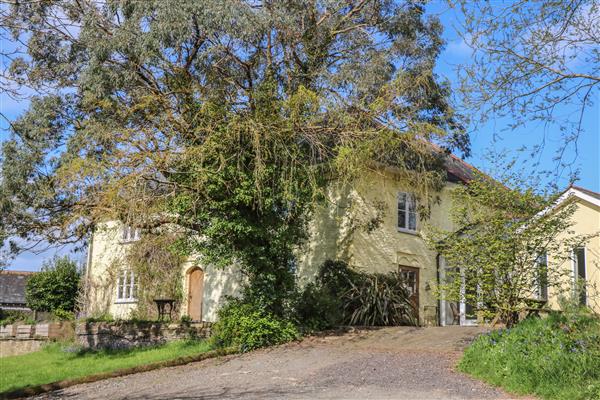 Gripstone Farmhouse - Devon