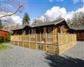 Relax at Grizedale Lodge; ; Windermere