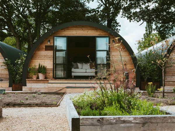 Hare Pyggy in Hampshire