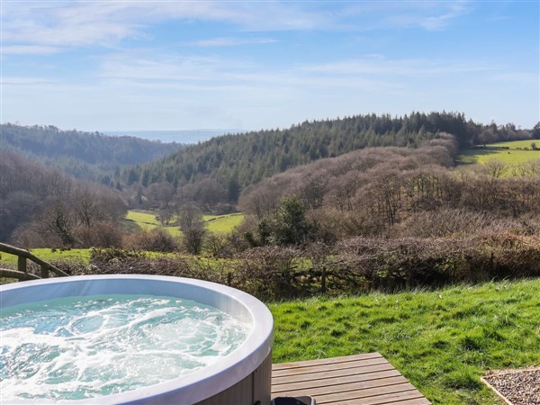 Harlequin, Carmarthen