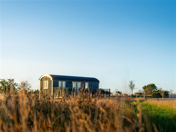 Head For the Hills Glamping - Skylark Shepherd's Hut - Dyfed