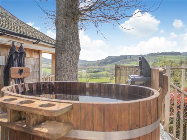Heartwood Treehouse in Llangyniew, Powys