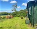 Unwind at High Bullen Farm- Jackdaw Lodge; Devon