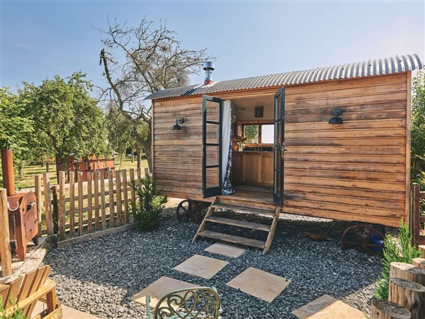 Hill Calf in Herefordshire