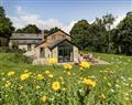 Relax in a Hot Tub at Hillside Cottage; ; Shaftesbury