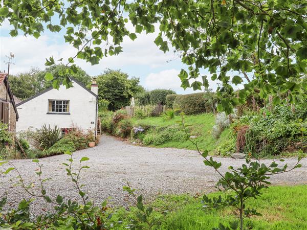 Hole Farm Stables - Devon