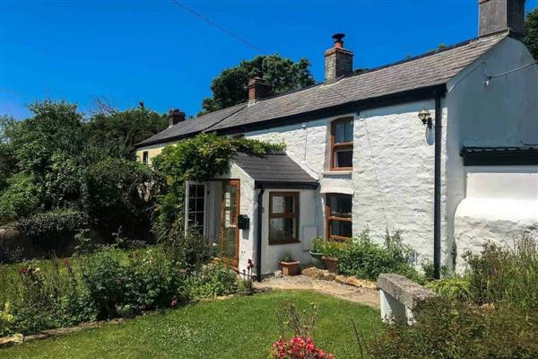 Hollowtree Cottage in Portreath, Cornwall