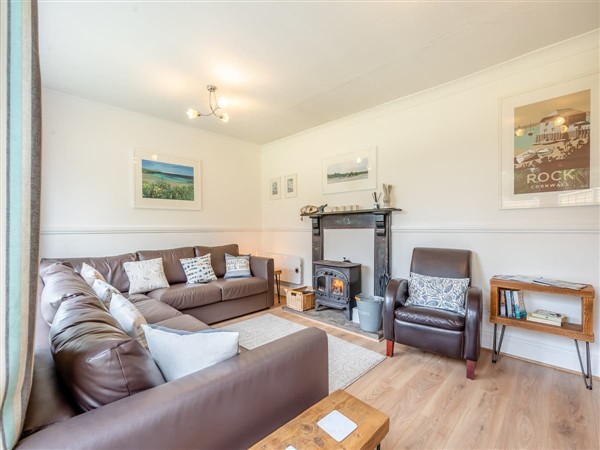 Hollyhocks in Cornwall