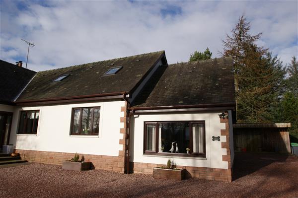 Hollys Hideaway - Kirkcudbrightshire