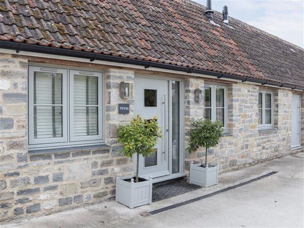 Home Farm Holiday Cottages - Pippin in Badgworth, Somerset