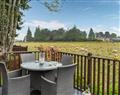 Forget about your problems at Honeycomb Lodge; Clackmannanshire