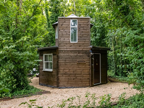 Honeycombe Treehouse in Dorset