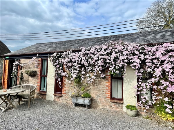 Honeypot Cottage - Dorset