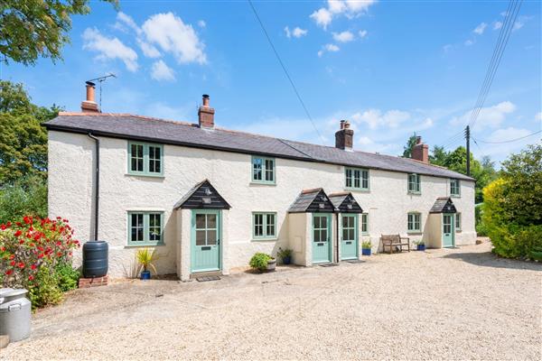 Honeysuckle Cottage - Dorset