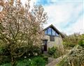 Relax at Hope Cottage (Loddiswell); Loddiswell; Nr Kingsbridge