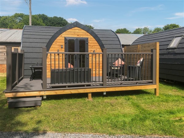 Hornbeam in East Sussex