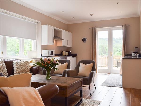 Inchrie Holiday Cottages- Forth View in Aberfoyle, Stirlingshire