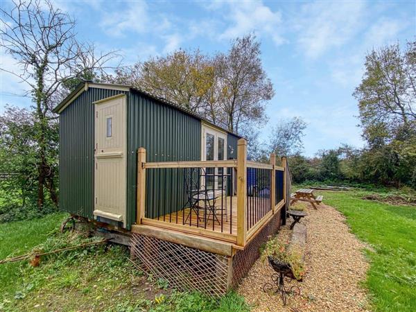 Ivy Shepherds Hut in Wiltshire