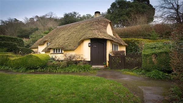 Ivy's Cottage in Minehead, Somerset