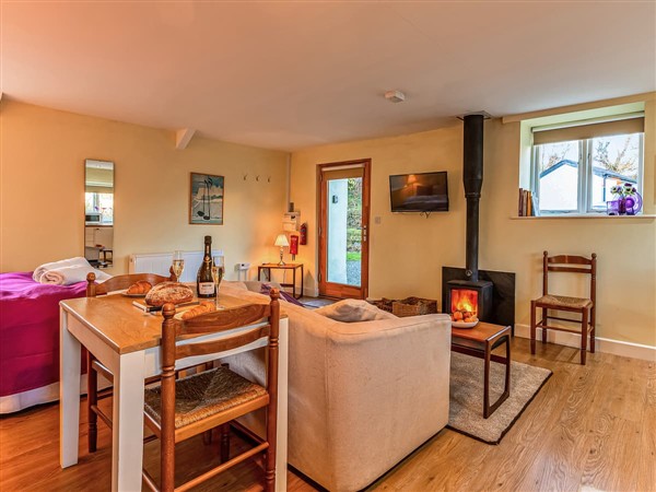 Jenny Wren in Cornwall