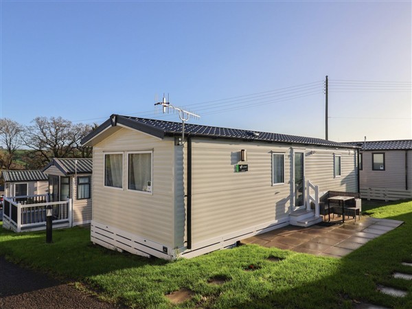 Jurassic Discovery in Dorset