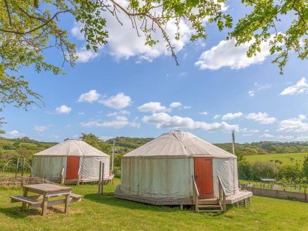 Kids Love Yurts - Woodpecker in Isle of Wight