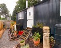 Take things easy at King's Cwtch Shepherd's Hut; ; Pentyrch