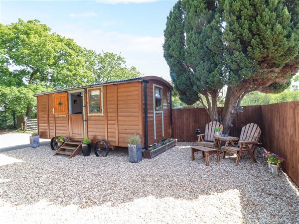 Lake View Shepherds Hut, 