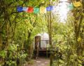 Larkhill Tipis and Yurts - The Bentwood Yurt in Dyfed