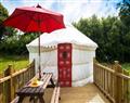 Forget about your problems at Lavender Yurt; Perranporth; The Atlantic Coast